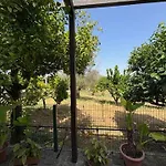 Quinta Do Avo