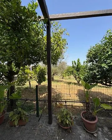 Quinta Do Avo