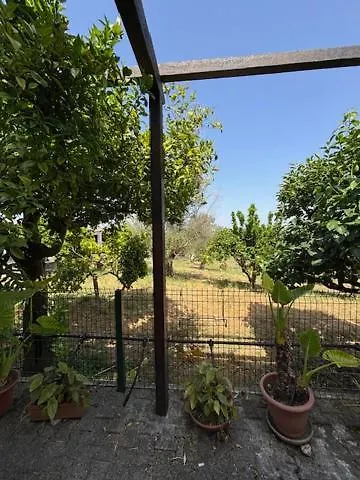 Quinta Do Avo